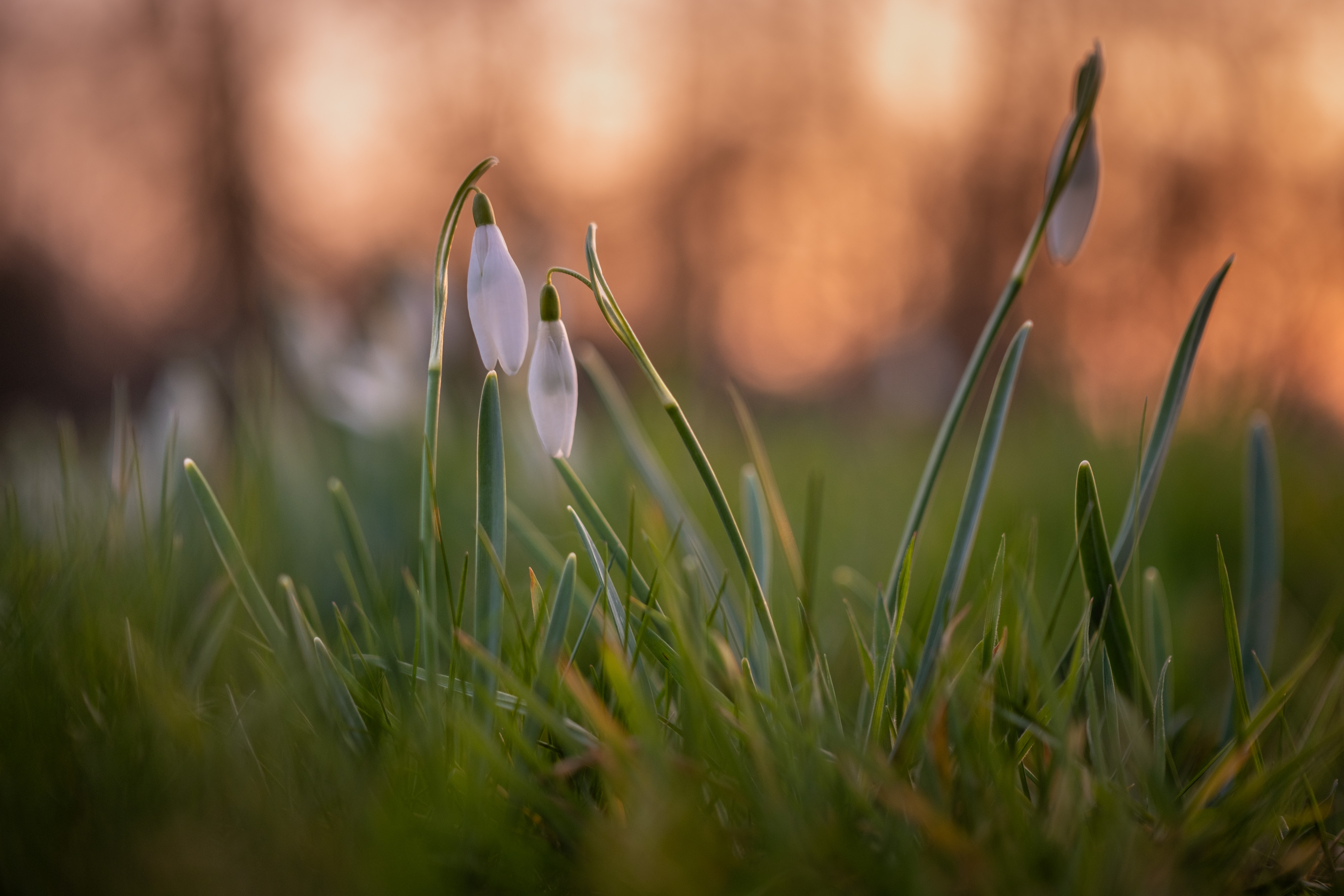 2024 03 08  xt 5   8726 2